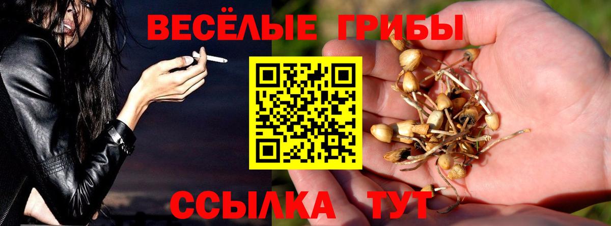 Якутск  Галлюциногенные грибы мухоморы  Псилоцибиновые грибы мухоморы  Вход с VPN 