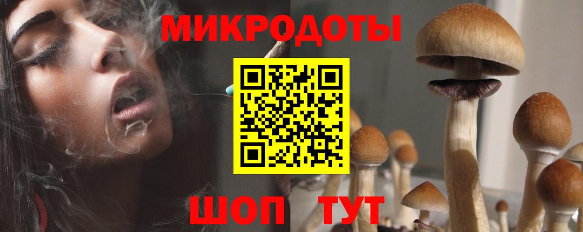 Псилоцибиновые грибы Psilocybine cubensis Якутск